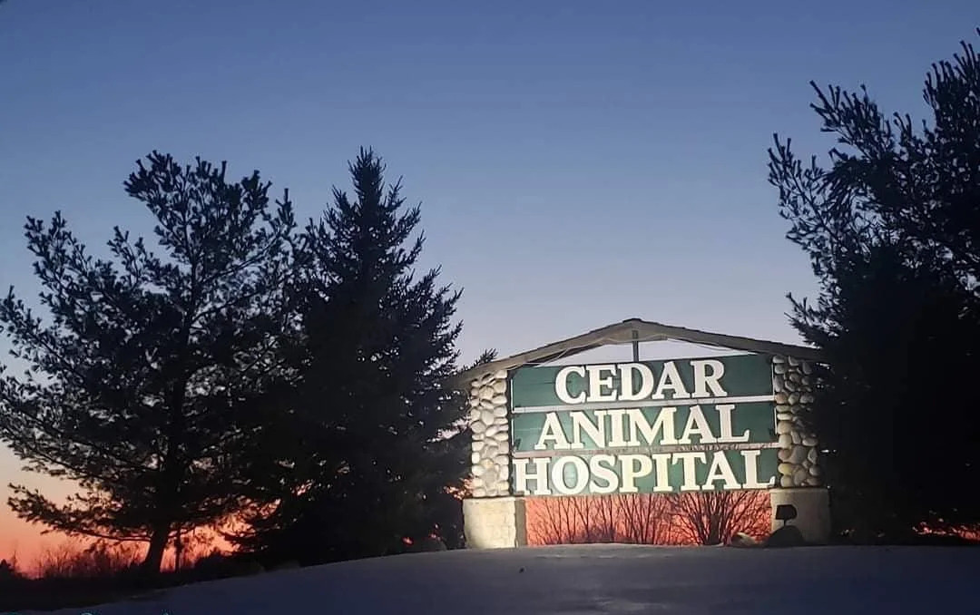 Cedar Animal Hospital outside